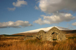 Rich Hertitage in Glendalough Co Wicklow