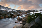 mountain Rivers Abound in Wicklow Mountains National Park Co Wicklow