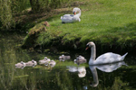 Eating Out for all the Family in Glendalough Co Wicklow