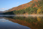 Restaurants and Cafes inGlendalough Co Wicklow