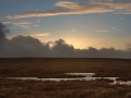 liffeyhead-bog-1
